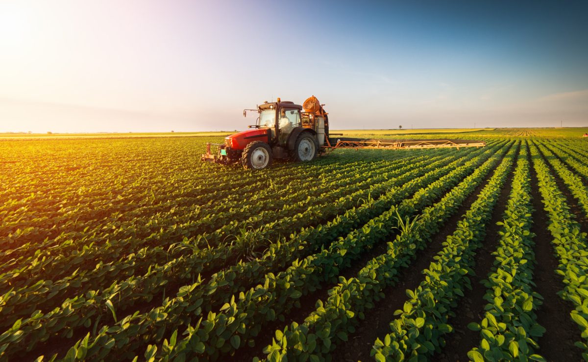 Tractor in a farm